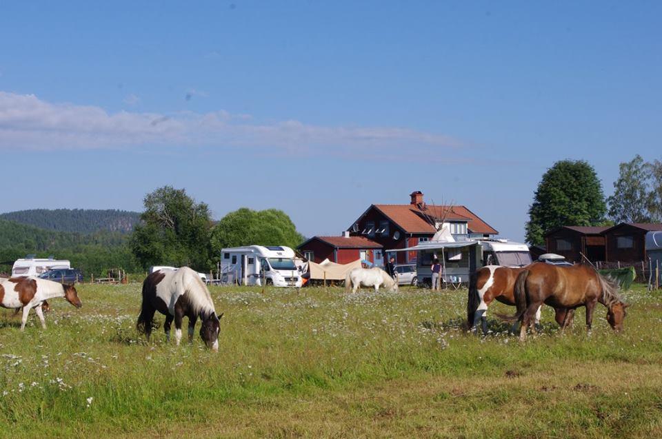 Sun Dance Ranch Acomodação com café da manhã Ekshärad Exterior foto
